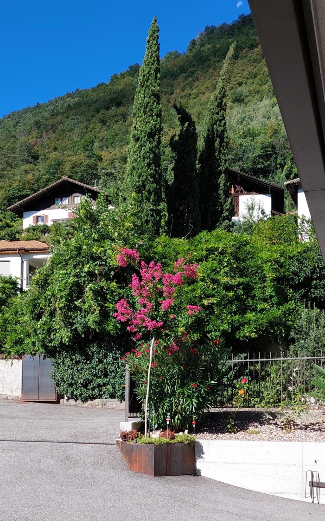 Marlingsuites - Vinea - Wieser Josef - Marling Marlengo Exterior foto