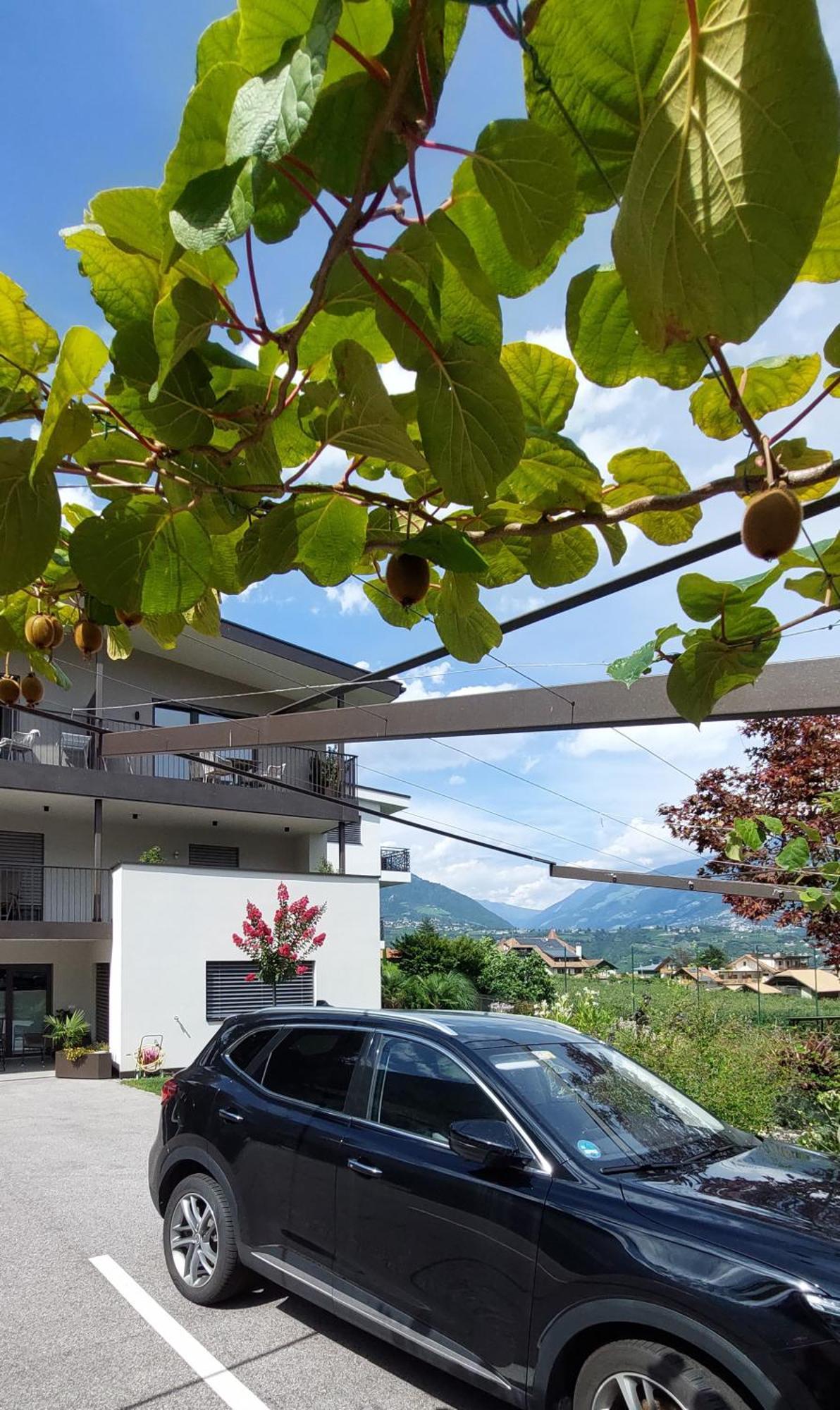 Marlingsuites - Vinea - Wieser Josef - Marling Marlengo Exterior foto