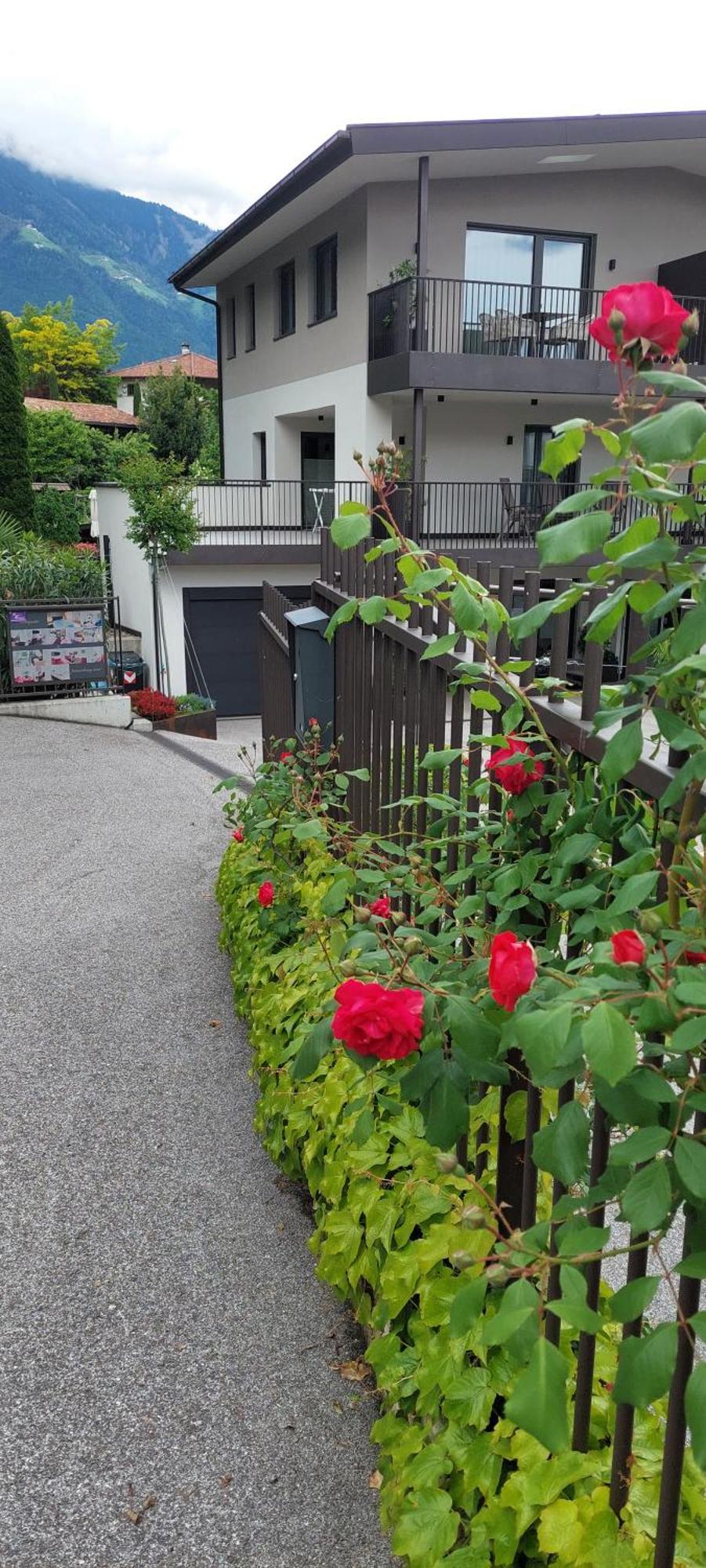Marlingsuites - Vinea - Wieser Josef - Marling Marlengo Exterior foto
