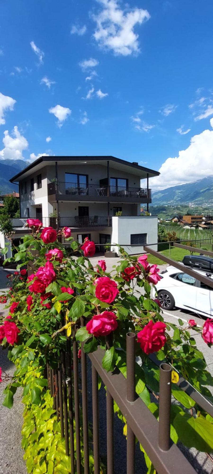 Marlingsuites - Vinea - Wieser Josef - Marling Marlengo Exterior foto